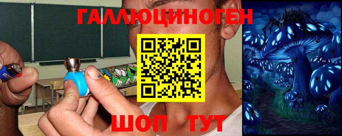 Псилоцибиновые грибы Psilocybe Отрадное