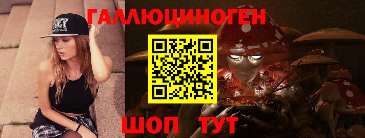 Отрадное  Псилоцибиновые грибы GOLDEN TEACHER  Вход с VPN 