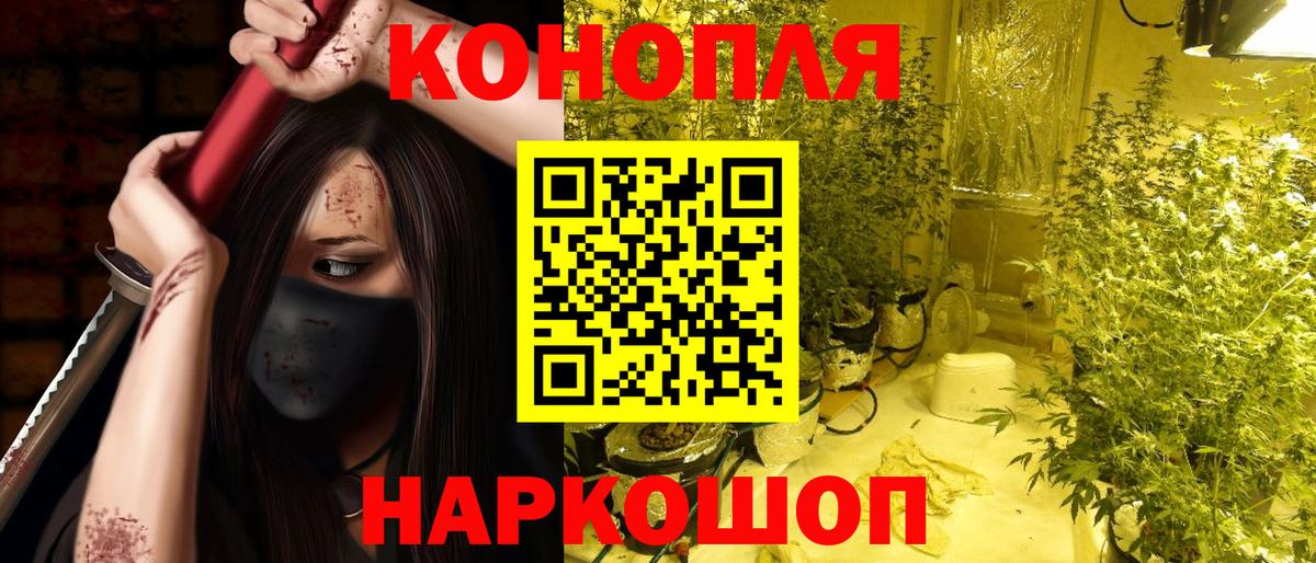 Канабис White Widow  Канабис гибрид  Вход с VPN  Конопля конопля  Отрадное  Шишки марихуана тримм 